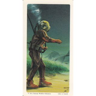 #1 - Hard Hat Diver